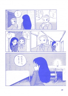 (C37) [Room No.201 (H・YOU)] BLUEBERRY JAM FINAL No.1 (Princess Sarah) - page 37