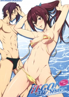 (C86) [Blue Topaz (Kuraki Hiro)] Gou GO! My Sister (Free!) - page 1