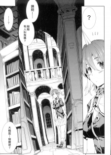 [Erect Sawaru] Shinkyoku no Grimoire -PANDRA saga 2nd story-  [Chinese] - page 11