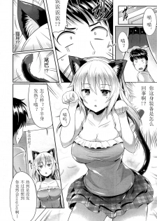 [Nekoi Hikaru] Neko.Kawaii desyo (COMIC Aun 2014-12) [Chinese] [名潴學園] - page 3