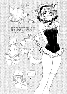 (C77) [HQ'S (Kajiyama Hiroshi)] Nekozuki na Akuma to sono Kaineko no Hanashi - page 39