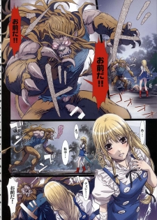 (C86) [STUDIO PAL (Nanno Koto)] Other Zone 4 ~Kemono no Ou-sama~ (Wizard of Oz) - page 8