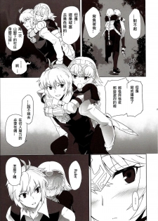 (C86) [Crazy Clover Club (Shirotsumekusa)] T-MOON COMPLEX APO02 (Fate/Apocrypha) [Chinese] - page 31