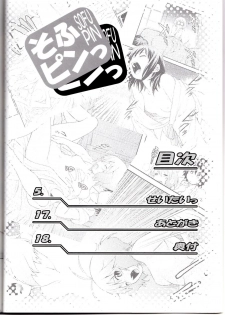 (C80) [Koudansha (Kouda Tomohiro)] Sofu Pin (Softenni) - page 3