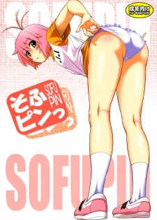 (C80) [Koudansha (Kouda Tomohiro)] Sofu Pin (Softenni) - page 1