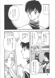 (C54) [Millennium (Wakao)] Uso K (Record of Lodoss War) - page 11