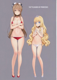 (C87) [Shoujo Kishidan (Oyari Ashito)] THE PLEASURES OF PRINCESSES (Amagi Brilliant Park) - page 23