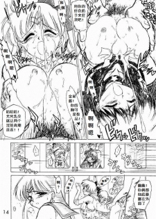 (CR26) [BLACK DOG (Kuroinu Juu)] oasis (Bishoujo   Senshi Sailor Moon) [Chinese] - page 14