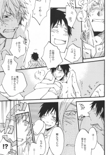 (C79) [Kaiten Mokugyo (Makimura Maki)] Heiwajima-kun no Nomi Mushi (Durarara!!) - page 25