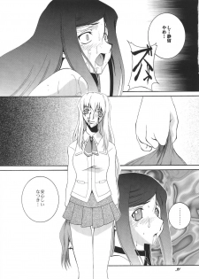 (CR37) [F.A (Honoutsukai)] HiME no Sono (Mai-HiME) - page 31