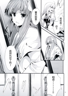 (C87) [Water Drop (MA-SA)] Satanic Carnival 2 (Touhou Project) [Chinese] [CE家族社] - page 31