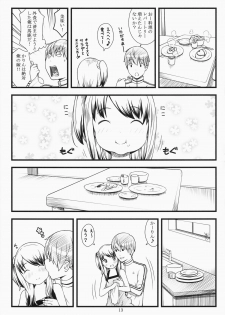 (C87) [Akatama (Sakurafubuki Nel)] Hotai! - page 12