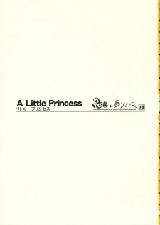 (C66) [Shinobi no Yakata, Yume yori Suteki na (Various)] A LITTLE PRINCESS (Sister Princess) - page 2