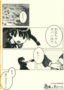 (C66) [Shinobi no Yakata, Yume yori Suteki na (Various)] A LITTLE PRINCESS (Sister Princess) - page 49
