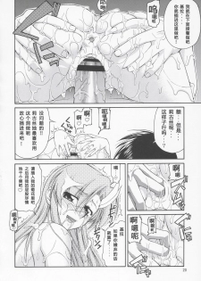 (C69) [Gold Rush (Suzuki Address)] Thank You! Lacus End (Gundam SEED DESTINY) [Chinese] [graviton个人汉化] - page 19