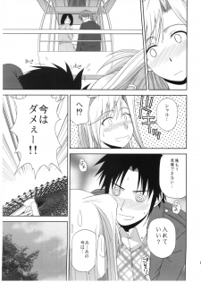 (C78) [G-SCAN CORP. (Satou Chagashi)] Princess Pleasure! (Princess Lover!) - page 10