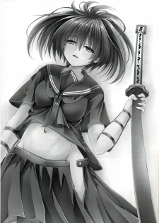 (C87) [STREAM OF CREEK (CREEK)] Kurome ga Kill! (Akame ga Kill!) - page 3