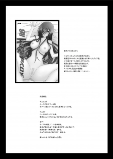 [valssu (Charu)] Melon ga Chou Shindou! R9 (Tales of the Abyss) [Digital] - page 4