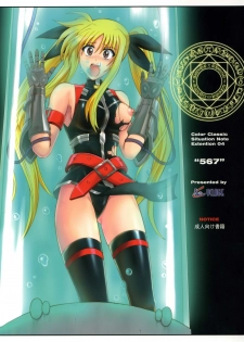 [Cyclone (Izumi Kazuya)] Color Classic Note Extension 04 567 (Mahou Shoujo Lyrical Nanoha) [Chinese] [脸肿汉化组] - page 2