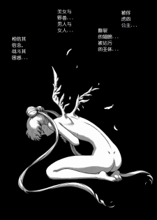 (C57) [BLACK DOG (Kuroinu Juu)] SUBMISSION SAILOR STARS (Bishoujo Senshi Sailor Moon) [Chinese] - page 11
