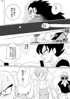 [Ichigoame] To share one´s fate Zenpen (Dragon Ball Z) - page 3