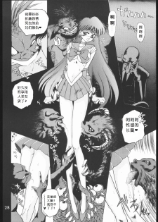 [BLACK DOG (Kuroinu Juu)] SUBMISSION MARS (Bishoujo Senshi Sailor Moon) [Chinese] - page 27