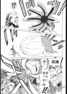 [BLACK DOG (Kuroinu Juu)] SUBMISSION MARS (Bishoujo Senshi Sailor Moon) [Chinese] - page 34