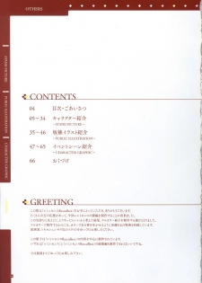 [Tigre Soft] Reminiscence Re：Collect Souki Yoyaku Tokuten Settei Shiryou Shuu - page 4