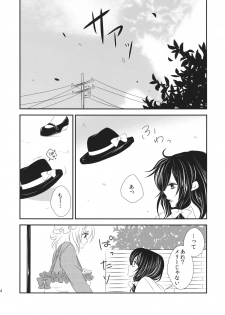 (C87) [Mimippu (Izumimipu)] Hifuu ga Otokonoko na Hon (Touhou Project) - page 5