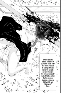 (C87) [02 (Harasaki)] 2P de Shinu Hon | The Dying In 2P Book (Touhou Project) [English] - page 8