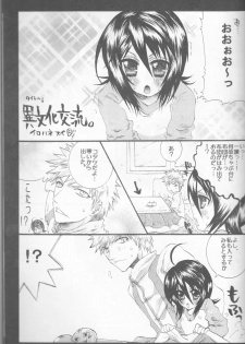 (C70) [PONCHEES (KARI) (Irohane Sui)] Rukia Kuchiki Minimum Maniax File (BLEACH) - page 21