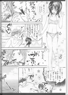 (C70) [PONCHEES (KARI) (Irohane Sui)] Rukia Kuchiki Minimum Maniax File (BLEACH) - page 8