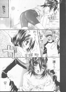 (C70) [PONCHEES (KARI) (Irohane Sui)] Rukia Kuchiki Minimum Maniax File (BLEACH) - page 18