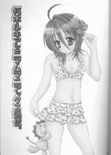 (C70) [PONCHEES (KARI) (Irohane Sui)] Rukia Kuchiki Minimum Maniax File (BLEACH) - page 3