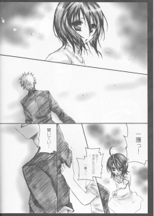 (C70) [PONCHEES (KARI) (Irohane Sui)] Rukia Kuchiki Minimum Maniax File (BLEACH) - page 34