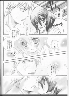 (C70) [PONCHEES (KARI) (Irohane Sui)] Rukia Kuchiki Minimum Maniax File (BLEACH) - page 10