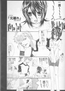 (C70) [PONCHEES (KARI) (Irohane Sui)] Rukia Kuchiki Minimum Maniax File (BLEACH) - page 17