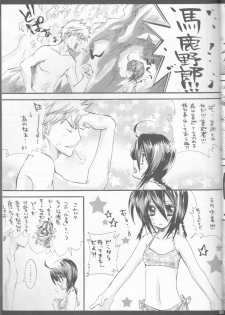 (C70) [PONCHEES (KARI) (Irohane Sui)] Rukia Kuchiki Minimum Maniax File (BLEACH) - page 9