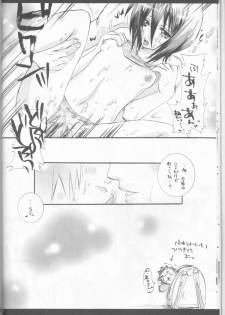 (C70) [PONCHEES (KARI) (Irohane Sui)] Rukia Kuchiki Minimum Maniax File (BLEACH) - page 14