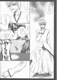 (C70) [PONCHEES (KARI) (Irohane Sui)] Rukia Kuchiki Minimum Maniax File (BLEACH) - page 38