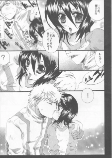 (C70) [PONCHEES (KARI) (Irohane Sui)] Rukia Kuchiki Minimum Maniax File (BLEACH) - page 22