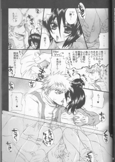(C70) [PONCHEES (KARI) (Irohane Sui)] Rukia Kuchiki Minimum Maniax File (BLEACH) - page 23