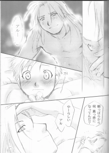 [Nenone-ya (Nenone Miya)] Taion (Fullmetal Alchemist) - page 27