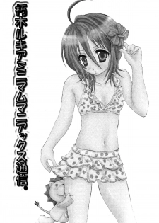 (C70) [PONCHEES (KARI) (Irohane Sui)] Rukia Kuchiki Minimum Maniax File (BLEACH) [English] [EHCOVE] - page 3