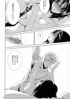 (C79) [Nansyu-Koubow (ID-ED)] Kann-ro 21 (One Piece) - page 29