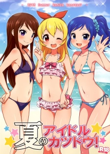 (C84) [Kaniya (Kanyapyi)] Natsu no Idol Katsudou! (Aikatsu!) [Chinese] [oo君の個人漢化] [Decensored] - page 2