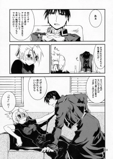 (C77) [Nansyu-Koubow (ID-ED)] Kann-ro 20 (Fullmetal Alchemist) - page 12