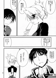 (C77) [Nansyu-Koubow (ID-ED)] Kann-ro 20 (Fullmetal Alchemist) - page 9