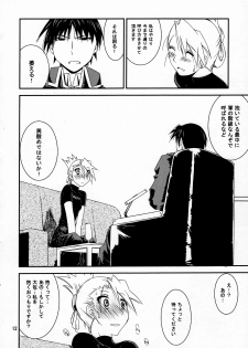 (C77) [Nansyu-Koubow (ID-ED)] Kann-ro 20 (Fullmetal Alchemist) - page 11