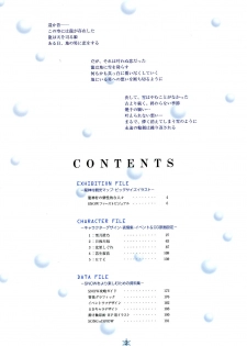 [Studio Mebius] SNOW ART WORKS - page 3